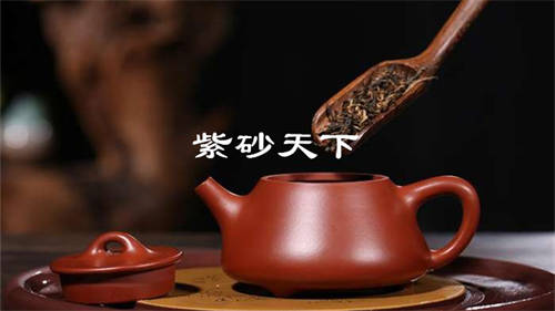 用紫砂壶泡茶茶味会更加清香  1